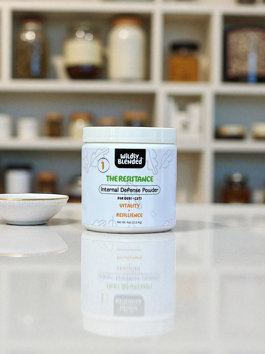 Internal Defense Powder – Wildly Blended