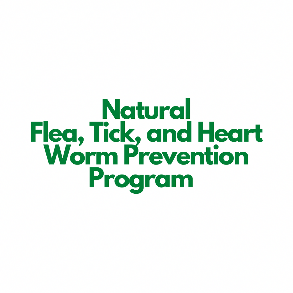 Natural Flea, Tick, and Heart Worm Prevention Program